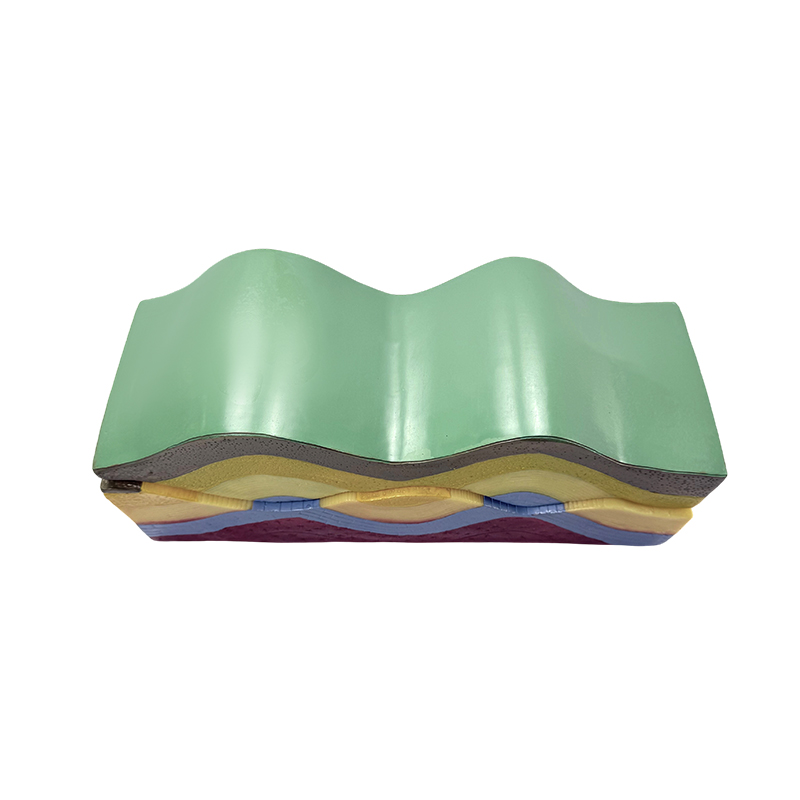 Model of changes in the earth's crust